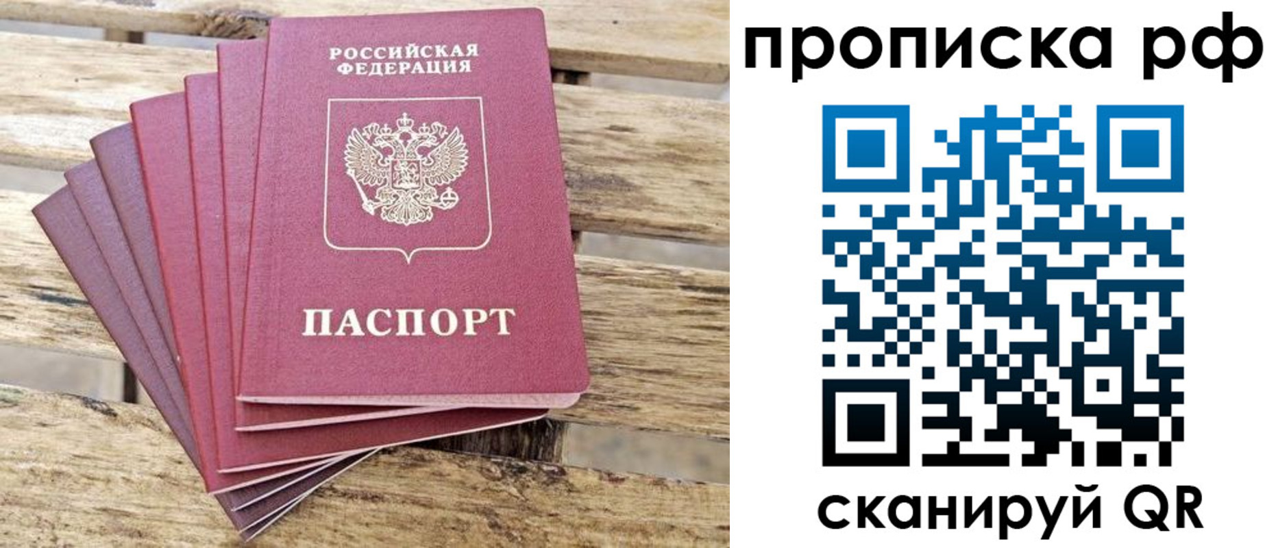 прописка гарантия в Фокино
